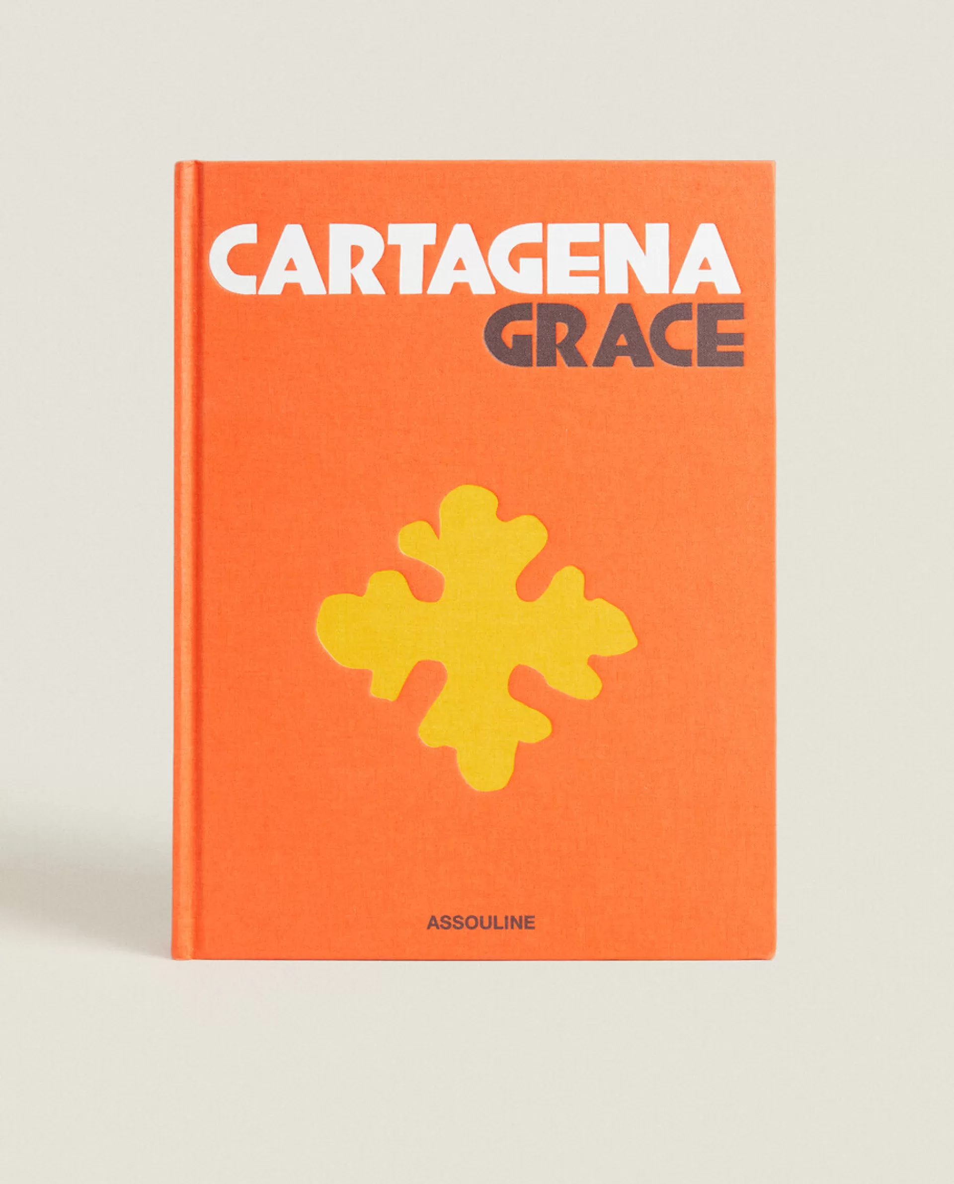 ZARA Home Assouline Cartagena Book 4-634 Best