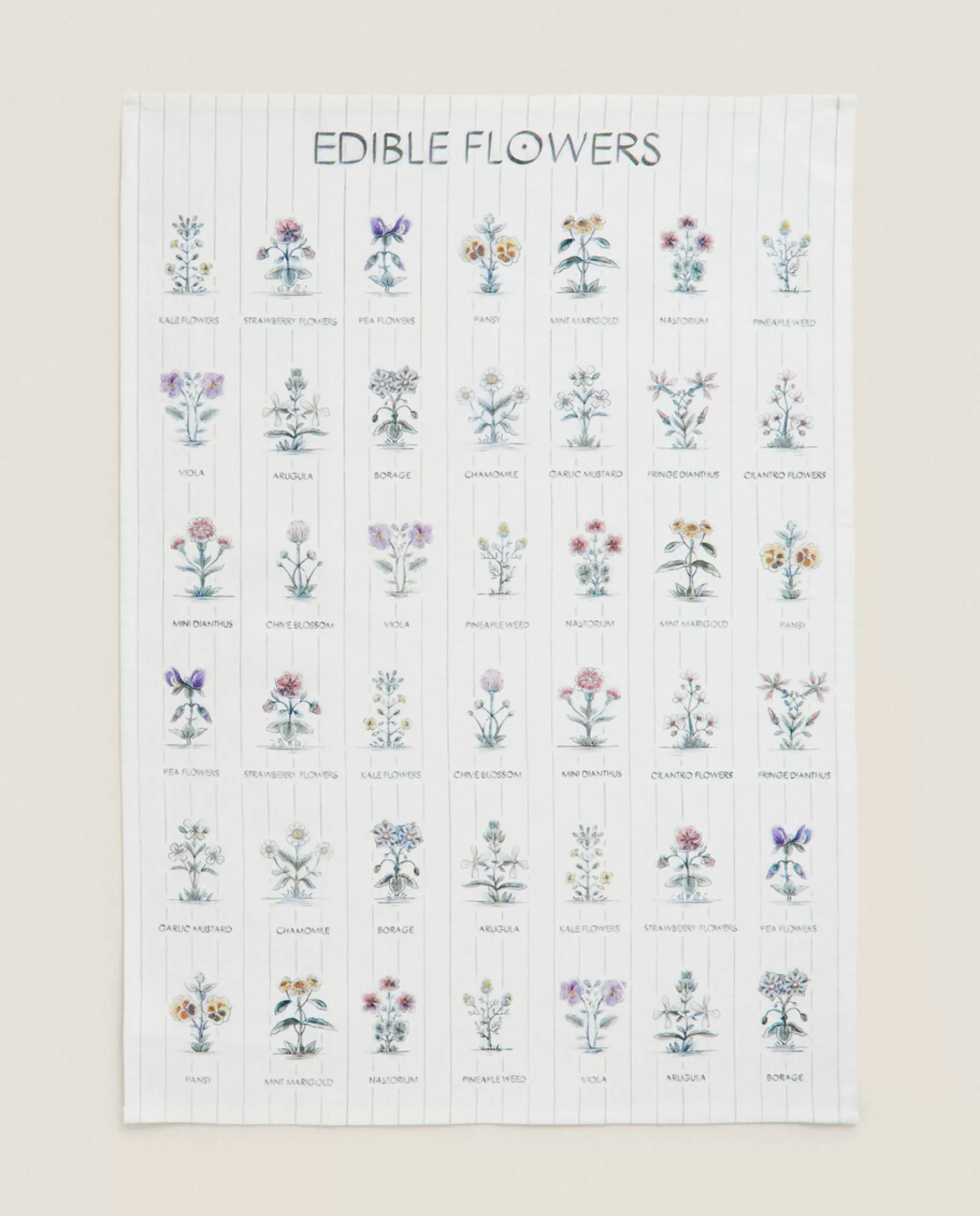 ZARA Home Check And Floral Print Cotton Tea Towel (Pack Of 2) Blue Fashion