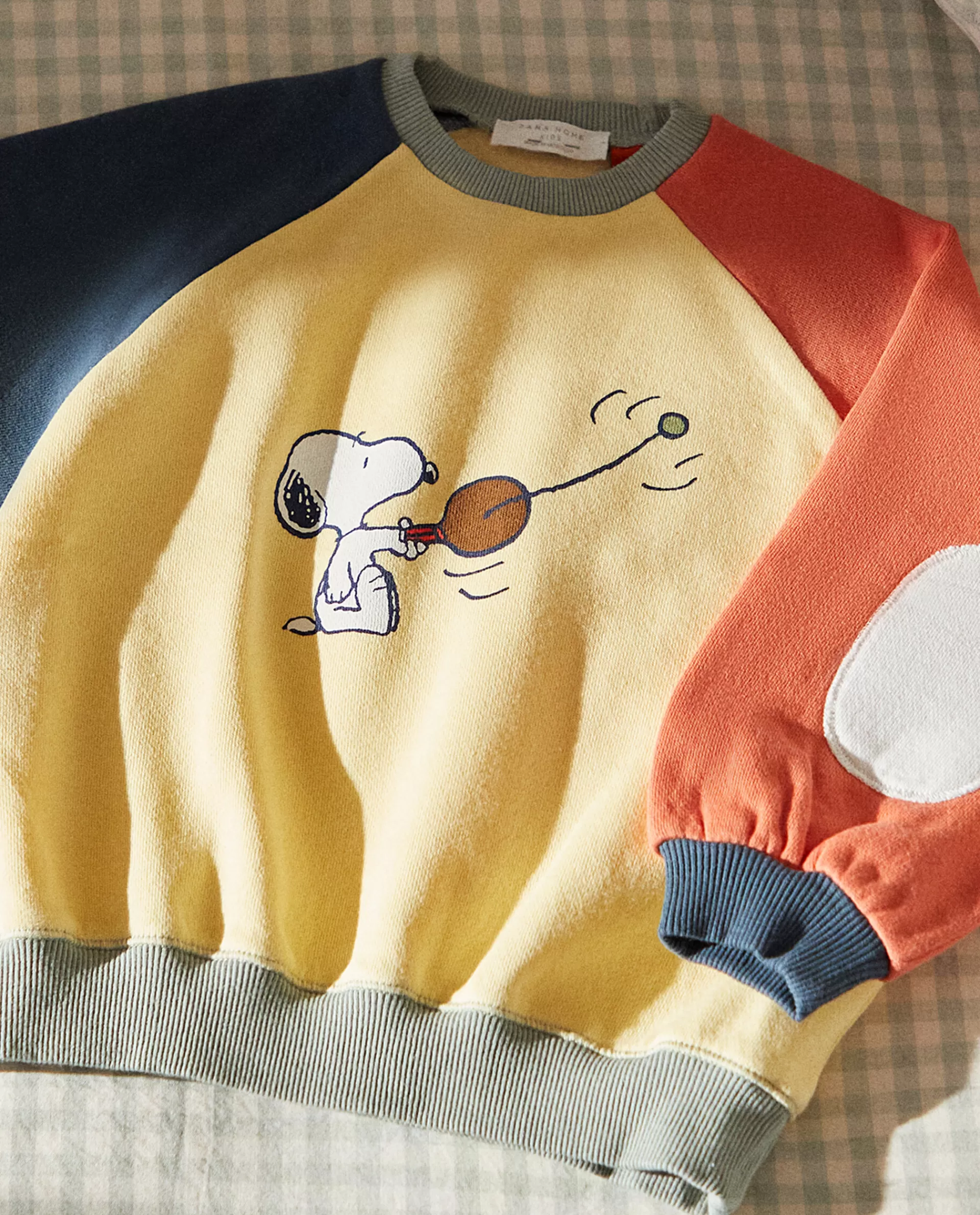 plush_peanuts_sweatshirt_2-1.webp ZARA Home Plush Peanuts™ Sweatshirt Multicolored Store